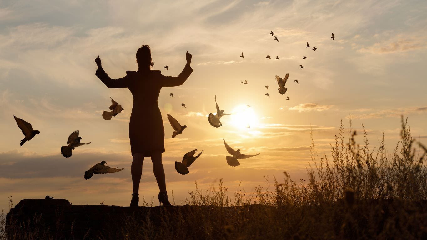 A silhouette of a woman in a suit facing a sunrise with her arms up in an empowered state whilst birds fly into the distance